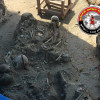 இலங்கை மன்னார்  மாவட்டத்தில் இதுவரை 175 மனித எலும்புக்கூடுகள் கண்டுபிடிப்பு!